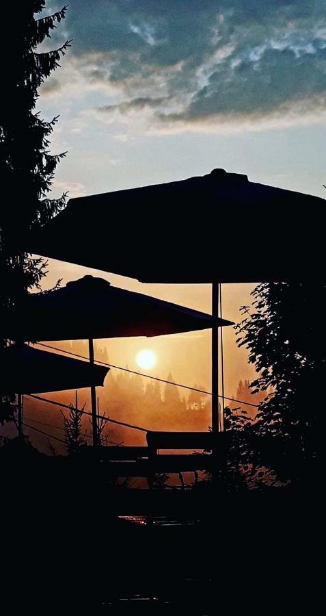 Hotel Iasicon Lacu Rosu Buitenkant foto